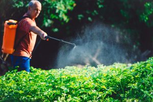 Herbicides de post-levée